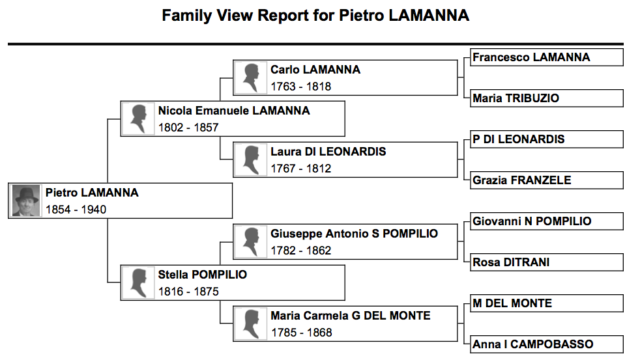 Order Family Tree Chart